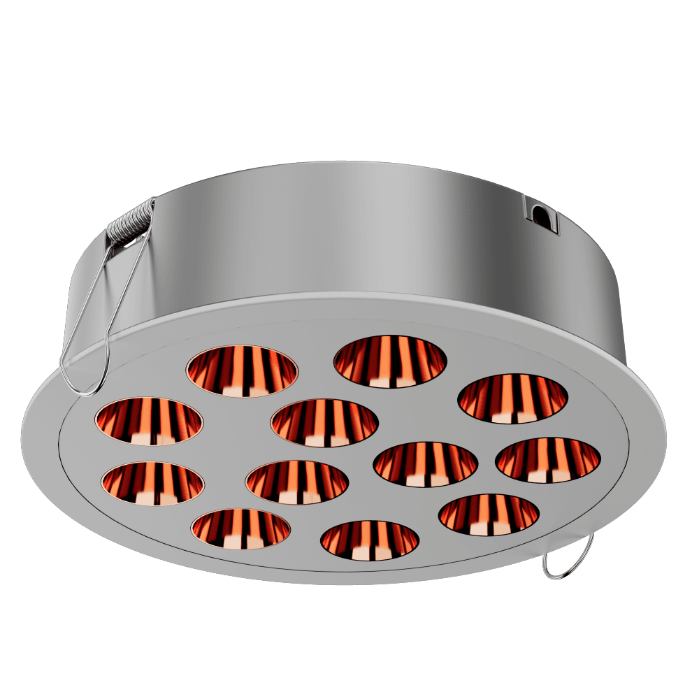 DL110 LED Down Light